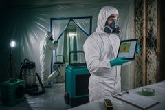 Mold Specialist